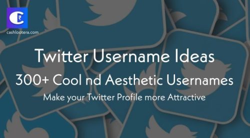 Twitter Username Ideas: 300+ Cool & Aesthetic Twitter Usernames - TRAN ...