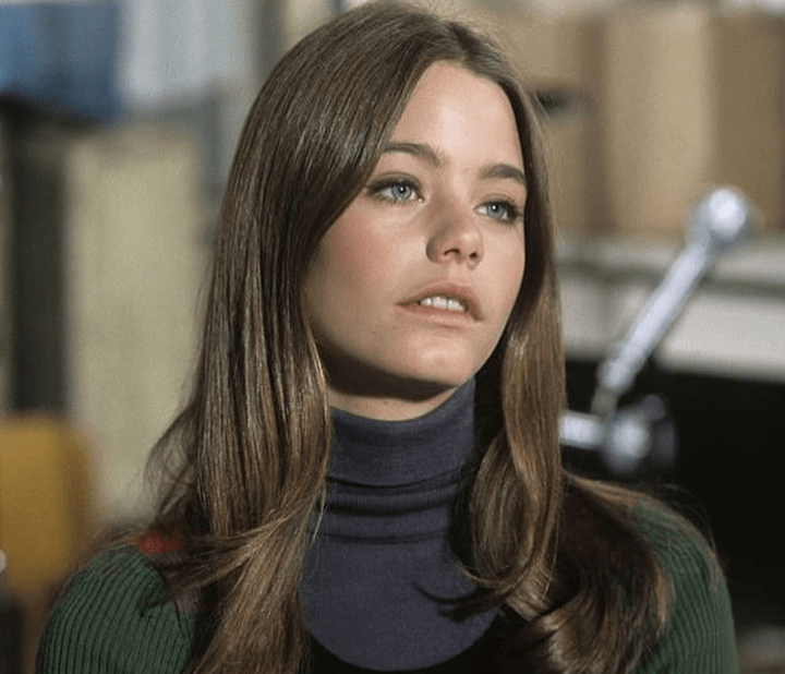 Remember actress Susan Dey? Where is She now TRAN HUNG DAO School