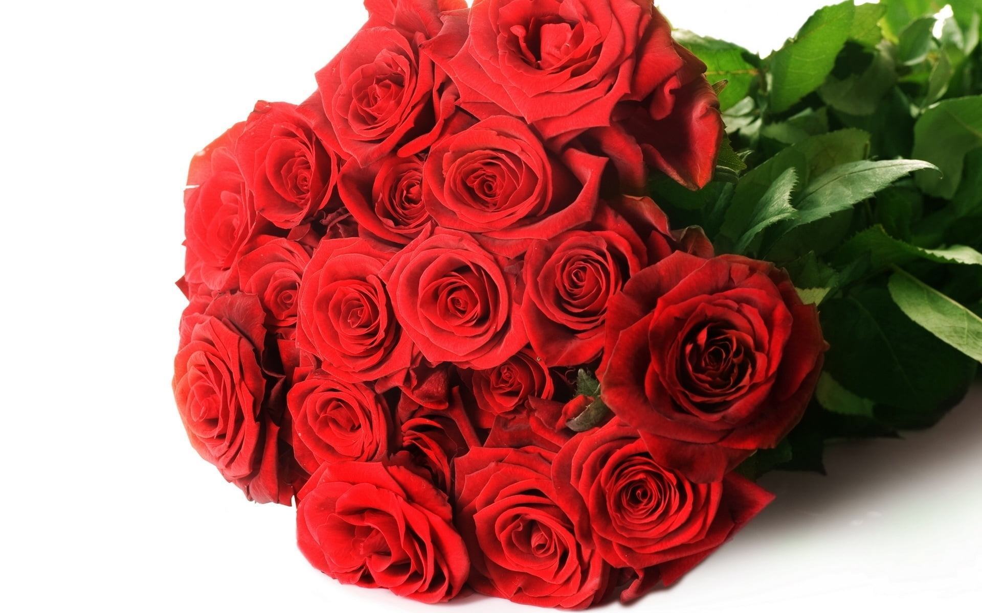Hình Nền Bó Hoa đẹp Nền HD và Nền Cờ đẹp hoa hồng hoa cánh hoa thẩm mỹ  nền để Tải Xuống Miễn Phí  Lovepik