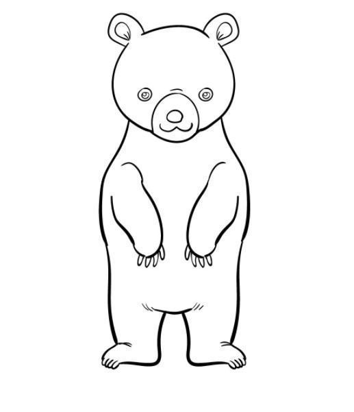 Cách Vẽ Con Gấu Cute Đơn Giản Dễ Thương [Cách Vẽ Con Gấu Trúc] Đẹp Nhất -  Trần Hưng Đạo