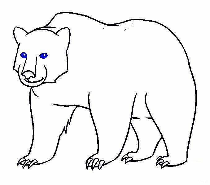 Cách vẽ con gấu cute đơn giản dễ thương Cách vẽ con gấu trúc đẹp nhất   Trường Tiểu Học Đằng Hải