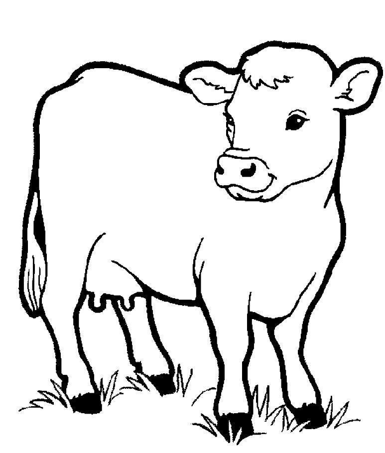 Cập nhật 54 về hình tô màu con bò sữa  cdgdbentreeduvn