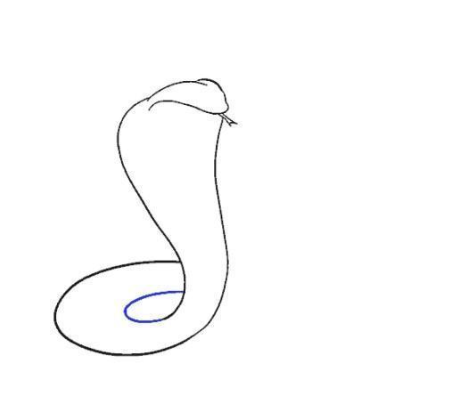 vẽ con rắn 14