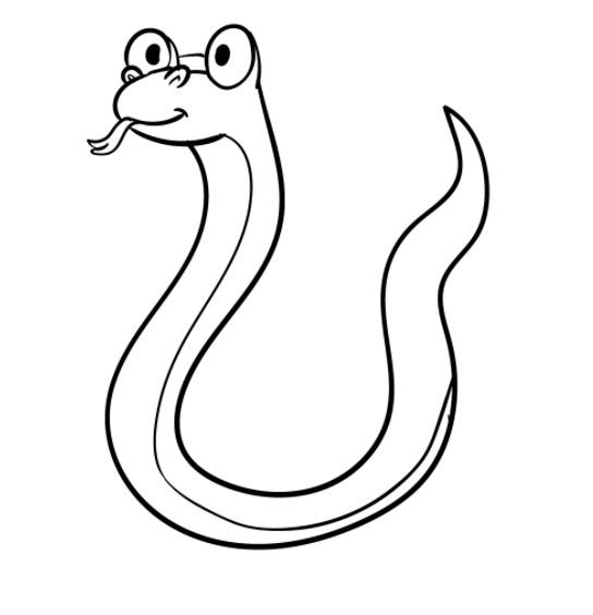 vẽ 9 .  con rắn