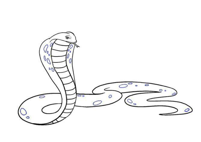 Bạn đang tìm kiếm cách hướng dẫn bé yêu của mình vẽ con rắn? Hãy xem hình ảnh liên quan này, chúng tôi sẽ cùng bé tạo ra những mẫu vẽ đáng yêu và đầy sáng tạo để bé có thể vui chơi và học hỏi.