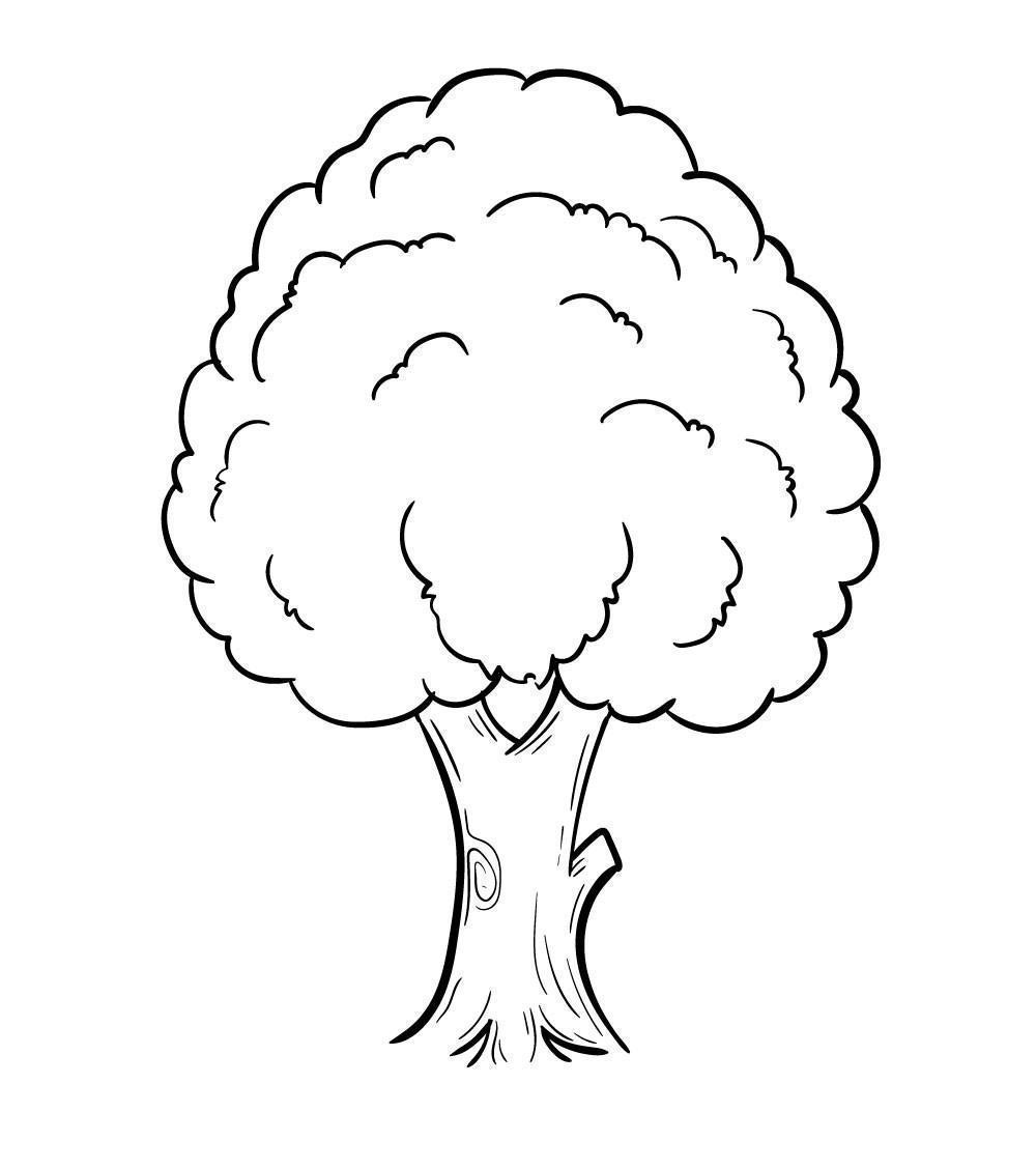 Cách vẽ cây đơn giản - Bạn muốn tìm hiểu cách vẽ cây đơn giản và đẹp mắt để tạo ra những tác phẩm nghệ thuật độc đáo? Hãy thử tìm hiểu những bí quyết đơn giản và hiệu quả trong video hướng dẫn vẽ cây mà chúng tôi cung cấp. Chắc chắn bạn sẽ có những bức tranh vô cùng tuyệt vời chỉ với vài thao tác đơn giản.