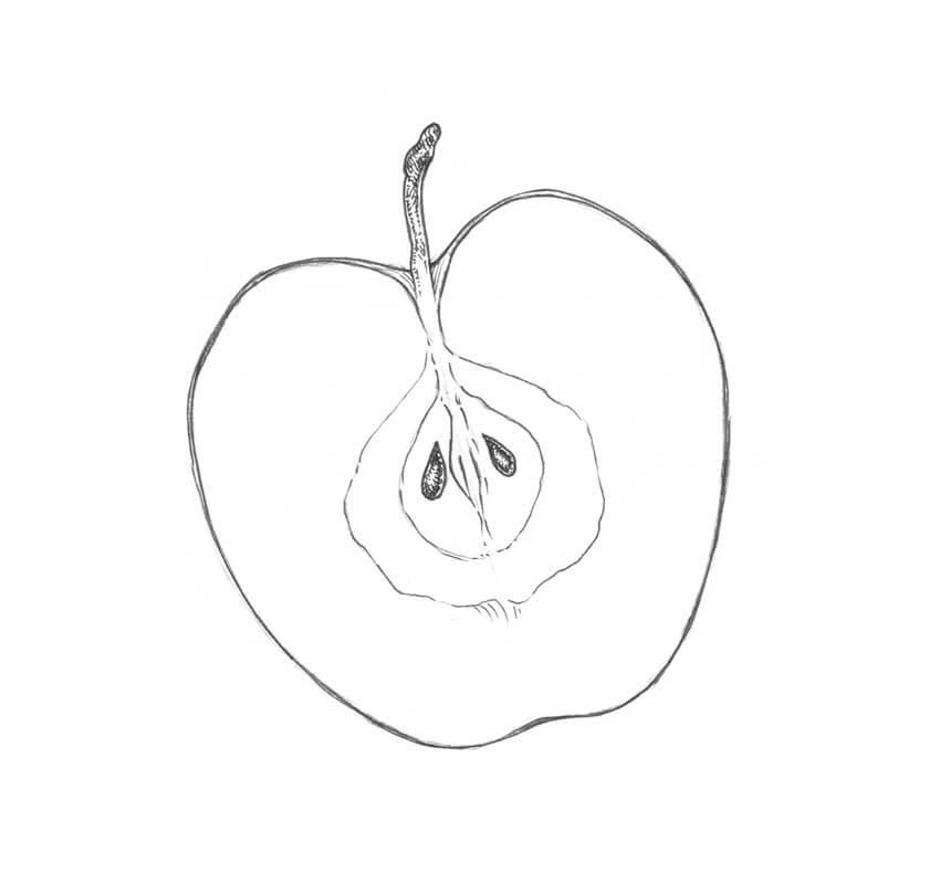 Học cách vẽ quả táo theo phong cách màu nước
