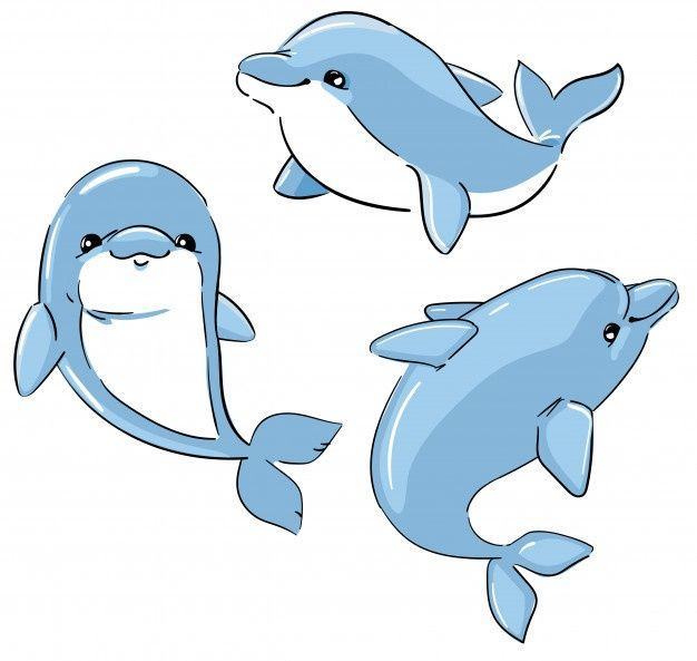 Vẽ con cá Voi Clip nghệ thuật  phim hoạt hình cá voi png tải về  Miễn phí  trong suốt Cá Heo png Tải về