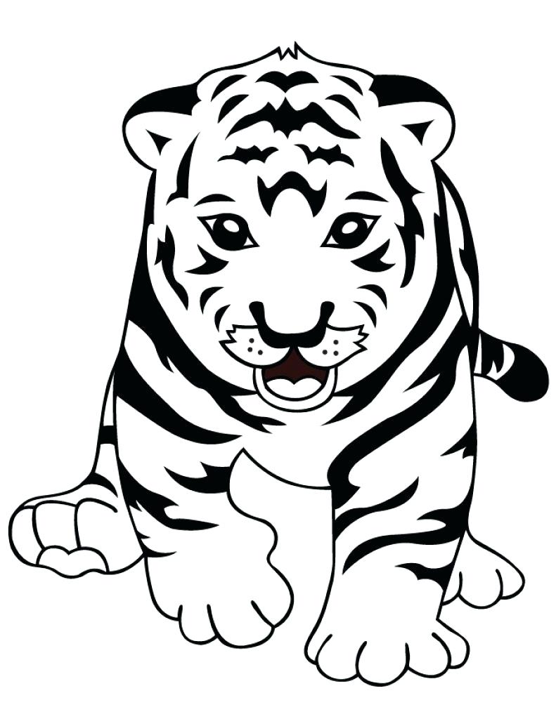 Bộ sưu tập hơn 999 hình vẽ con hổ đẹp nhất với chất lượng 4K cao cấp.