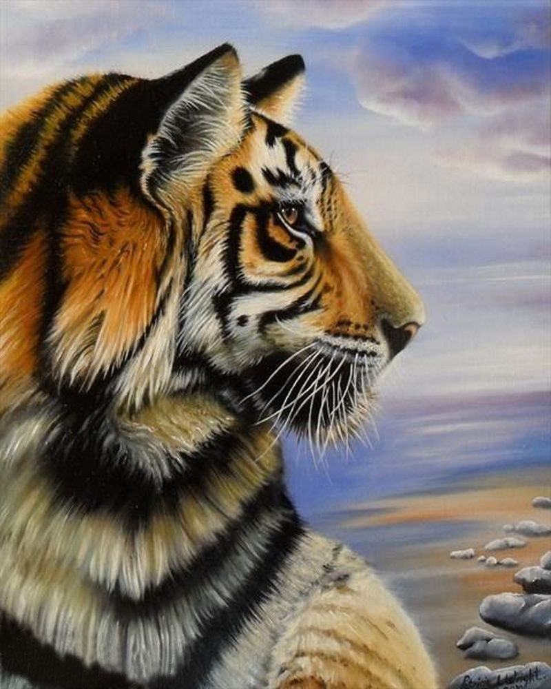 vẽ con hổ 15