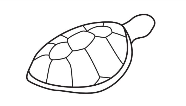 vẽ con rùa 6