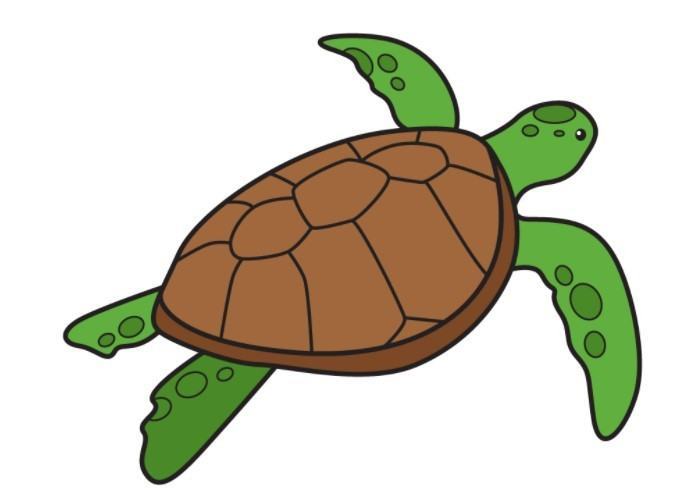 vẽ 10 con rùa