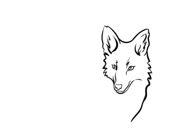 Cách vẽ con sói đẹp cho bé [Nhiều hình vẽ sói đang đứng, hú đẹp] - TRƯỜNG  THPT TRẦN HƯNG ĐẠO