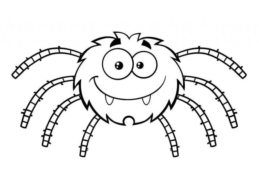 Cách vẽ con nhện  Dạy Vẽ