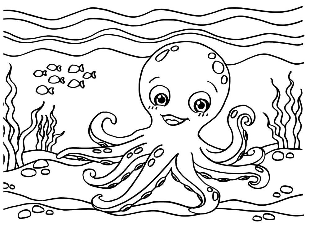 vẽ con bạch tuộc 14