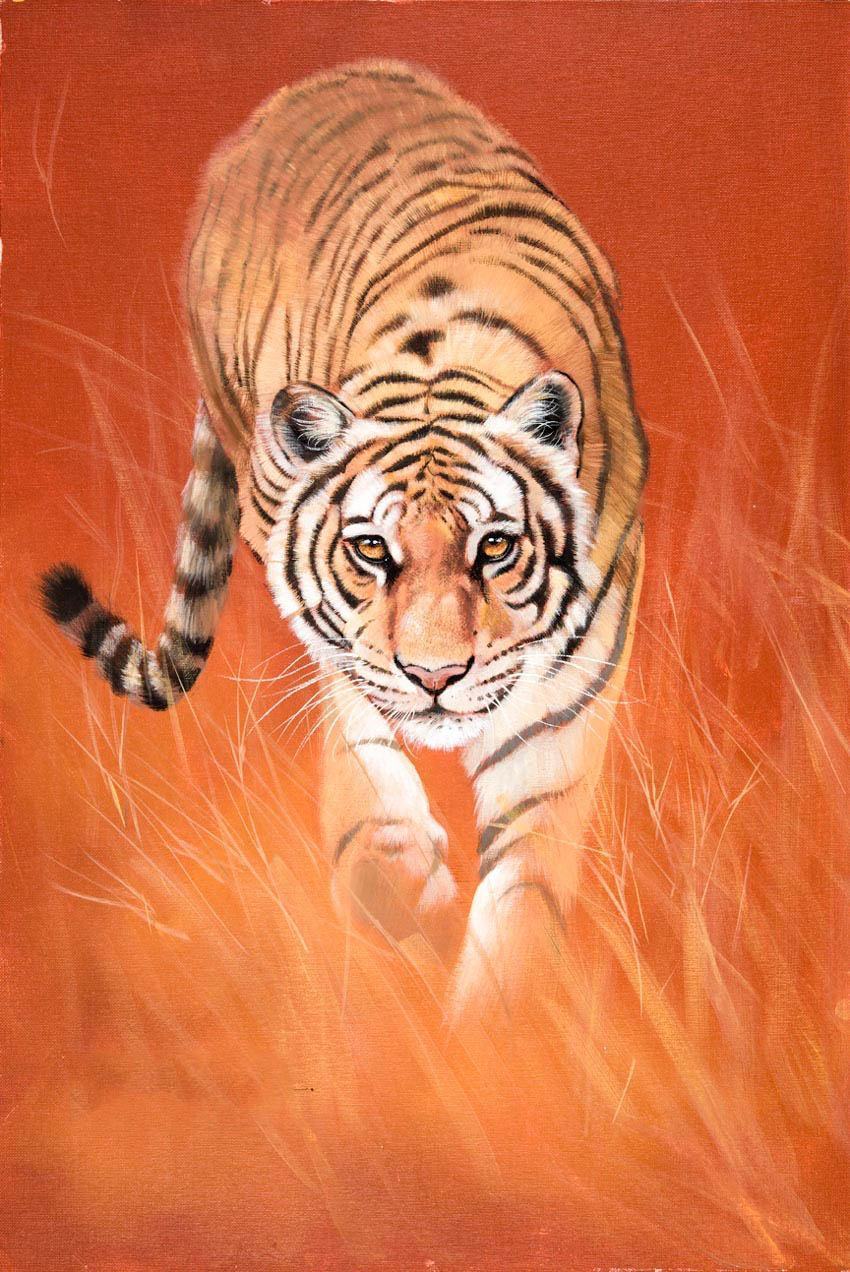 vẽ một con hổ 15