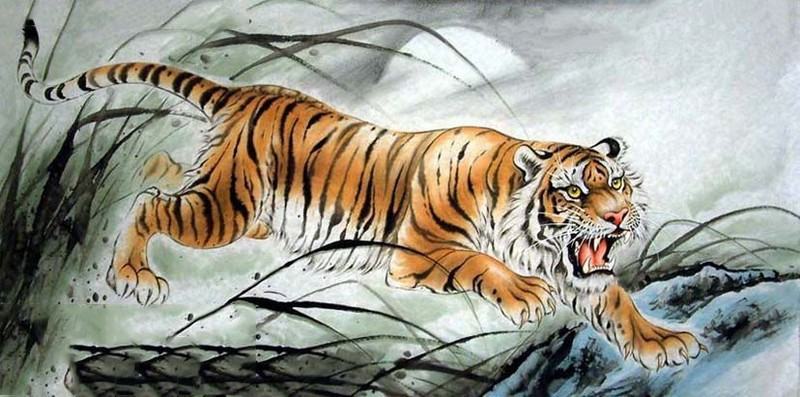 vẽ con hổ 19