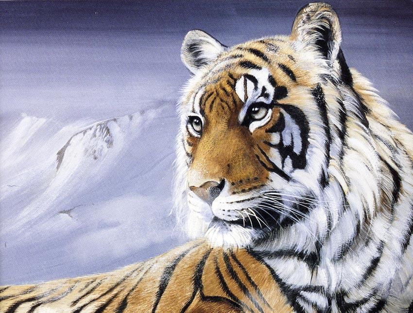 vẽ một 16 .  con hổ