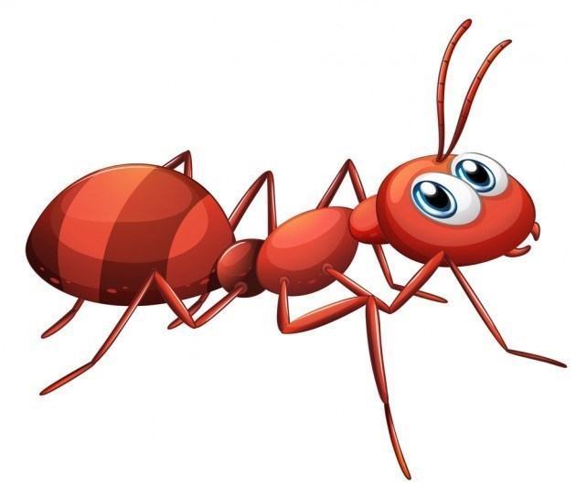 Cách vẽ con kiến đẹp cực kỳ dễ thương cho bé mẫu hình vẽ kiến  PHÒNG GD   ĐT HUYỆN CON CUÔNG