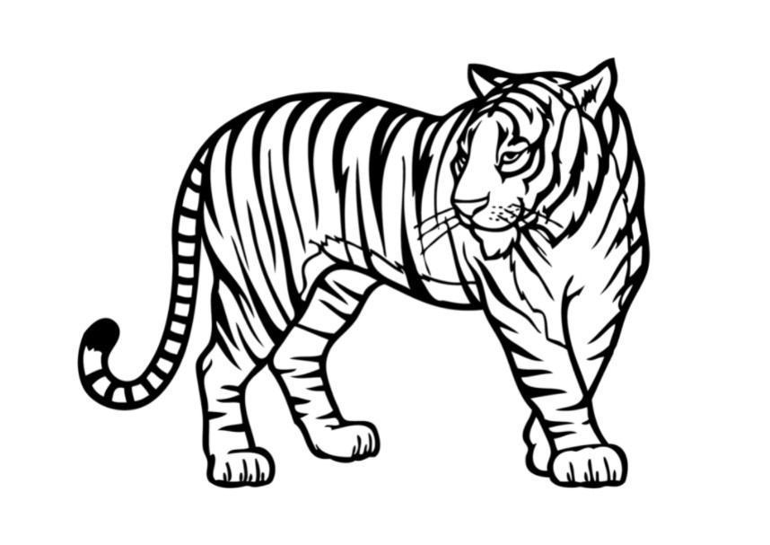 Hình vẽ con hổ: Tranh vẽ con hổ tuyệt đẹp, đầy nghị lực và sức mạnh. Hãy chiêm ngưỡng tác phẩm nghệ thuật này, như một nguồn cảm hứng để đạt được thành công.