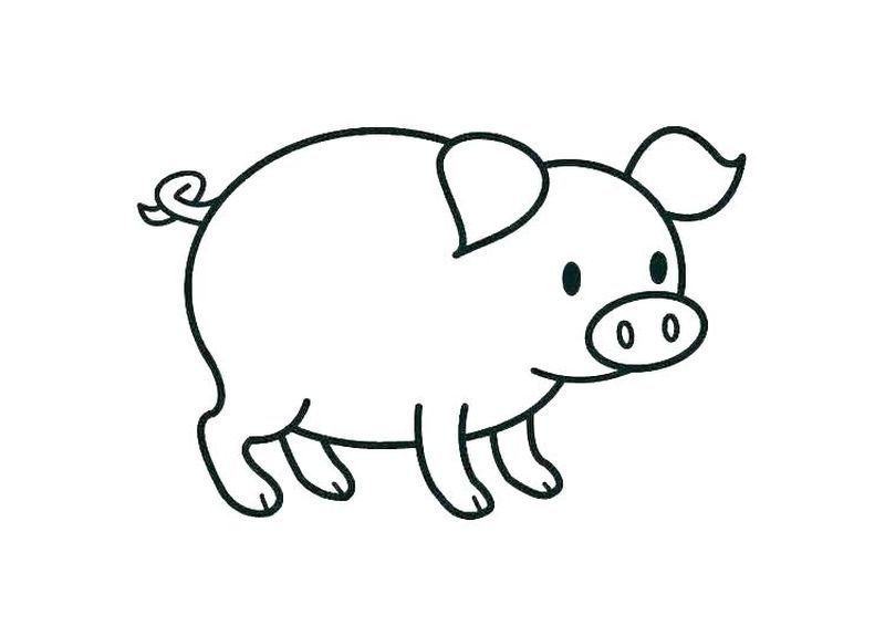 Cách Vẽ Con Heo Đơn Giản Nhất Siêu Đáng Yêu [Cách Vẽ Con Lợn] - Trần Hưng  Đạo