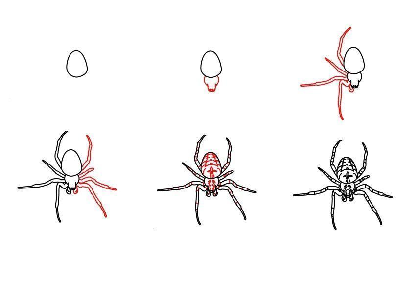 Cách vẽ con nhện đẹp cho bé [Những mẫu hình vẽ nhện Spider Man] - TRƯỜNG  THPT TRẦN HƯNG ĐẠO