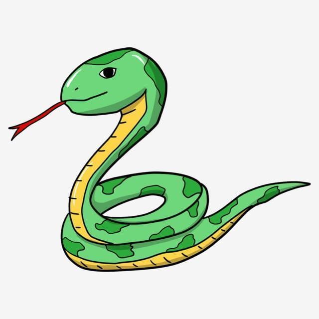 Cách vẽ con rắn đơn giản nhất cho bé [Cách vẽ con rắn hổ mang] - TRƯỜNG  THPT TRẦN HƯNG ĐẠO