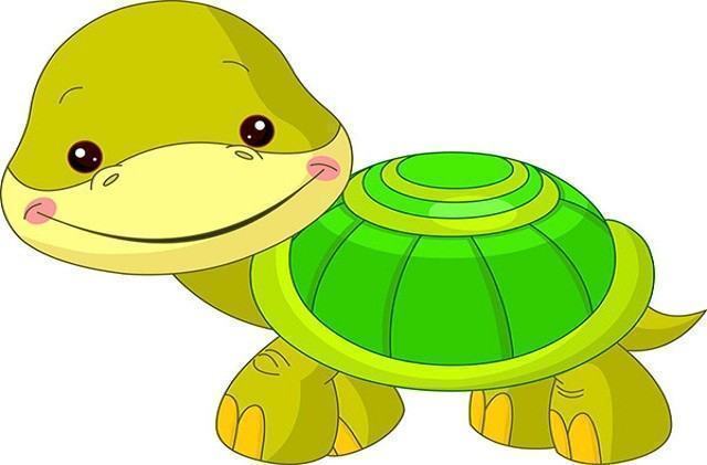 Hướng dẫn cách vẽ CON RÙA  Tô màu con Rùa  How to draw Turtle  YouTube
