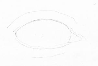 Cách vẽ mắt người đơn giản cho người mới bắt đầu giúp mắt có hồn  Trường  THPT Kiến Thụy