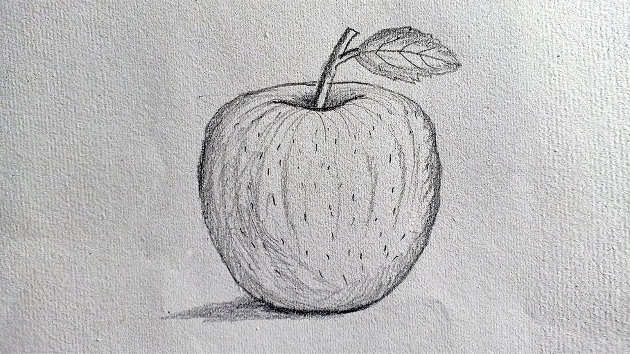 Điểm nhấn cho bức tranh vẽ táo này chính là việc sử dụng bút chì. Mỗi nét vẽ tinh tế đã phản ánh rõ nét hình ảnh táo đỏ bóng bẩy.