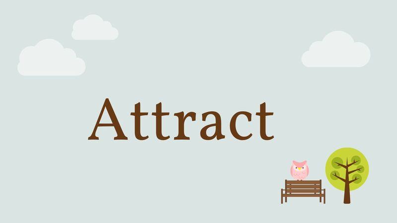 Có những từ đồng nghĩa nào cho danh từ attract?
