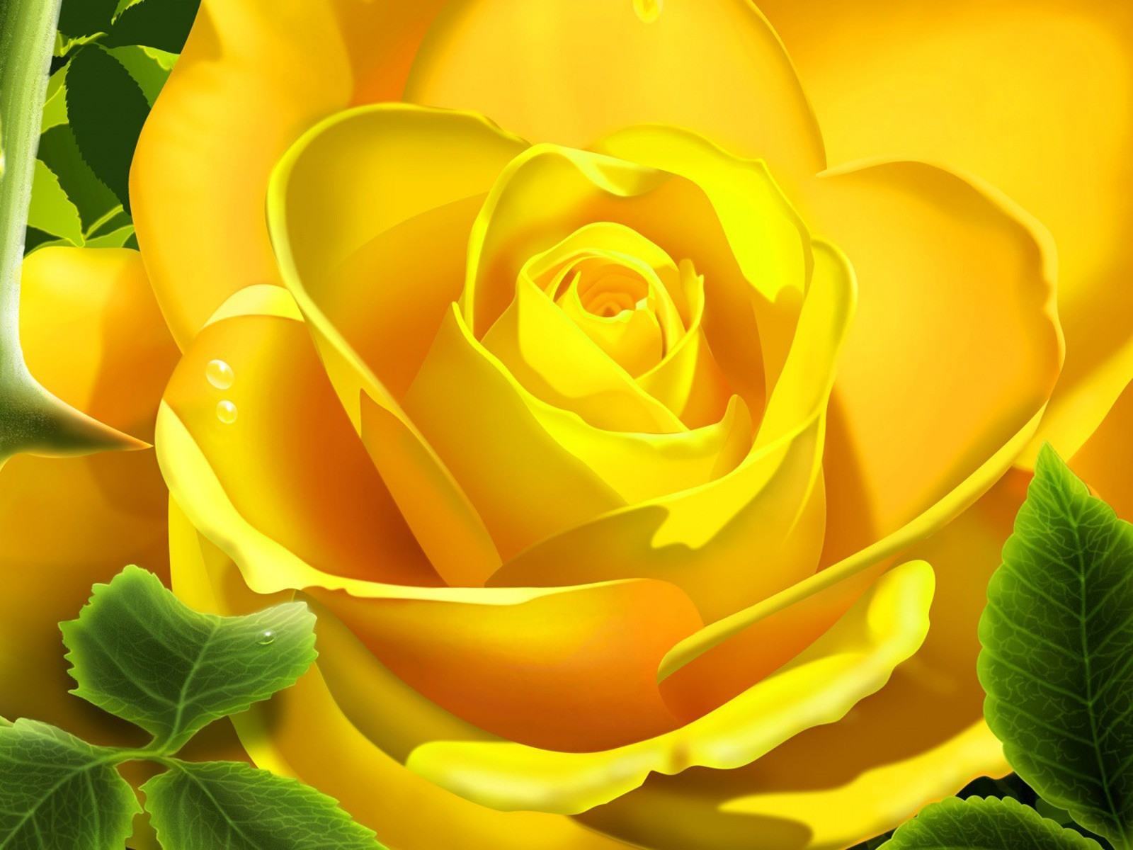 Hình ảnh hoa hồng vàng được chụp cận cảnh, với độ phân giải cao và ánh sáng tinh tế, sẽ khiến bạn say đắm bởi sự tươi sáng và ấm áp của những bông hoa đầy ý nghĩa này. Hãy để hình ảnh đưa bạn đến với thế giới mộc mạc và đẹp đẽ của hoa hồng vàng.