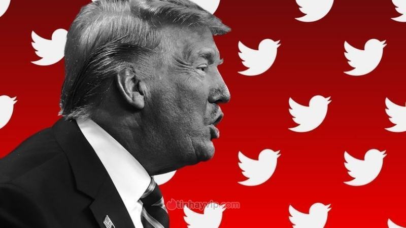 Ông Trump không quá hào hứng trở lại Twitter