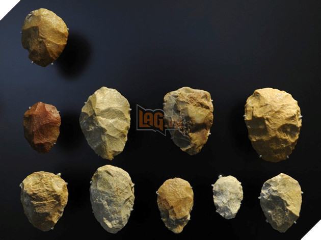 Phát hiện DNA 50.000 năm tuổi tiết lộ gia đình người Neanderthal đầu tiên