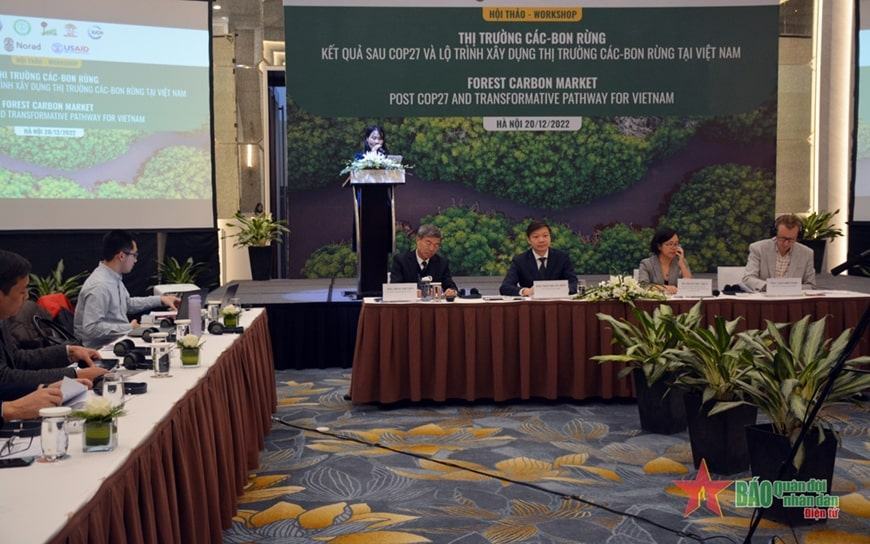 Lộ trình xây dựng thị trường carbon rừng tại Việt Nam