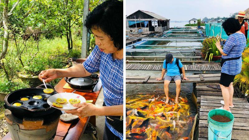 Tham quan làng bè Côn Sơn với hàng ngàn loại cá