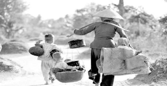 Cây tre của mẹ - Bình luận Nguyễn Ngọc Phú