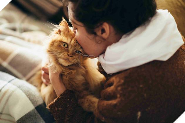 Nghiên cứu cho thấy mèo nói dối bằng cách bắt chước tính cách và lối sống của chủ nhân 3