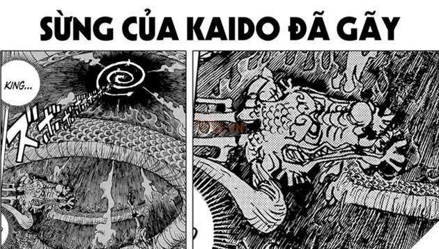 One Piece Chap 1049 Kaido chính thức chặt sừng, ngày tàn của băng ác thú sắp đến