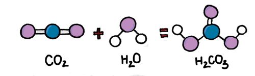 Nêu tính chất hóa học của H2CO3