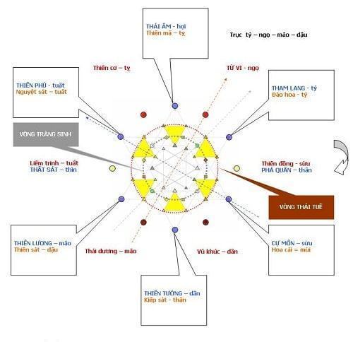 Thiên Cơ Thiên Lương đồng cung – lá số biến hóa khôn lường - TRẦN HƯNG ĐẠO