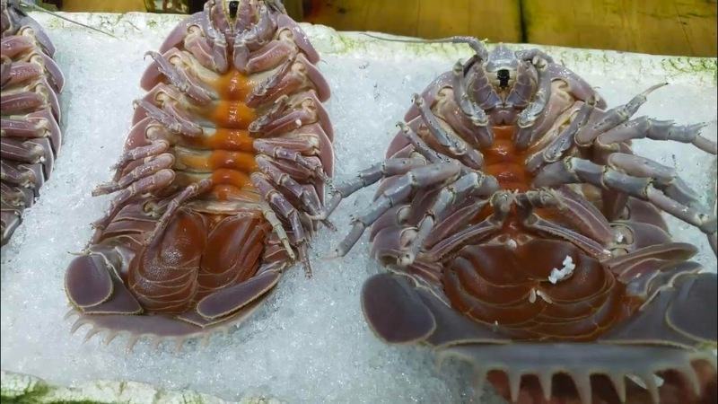 Giá bán bọ biển khoảng 1.700.000 - 2.000.000 đồng/kg