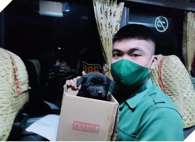 Cựu binh đón chó mèo về, người lính chiếm được cảm tình của cư dân mạng 4
