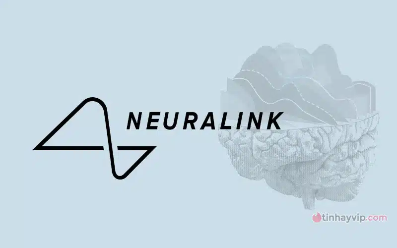 Neuralink sẽ thông báo thời gian thử nghiệm sớm