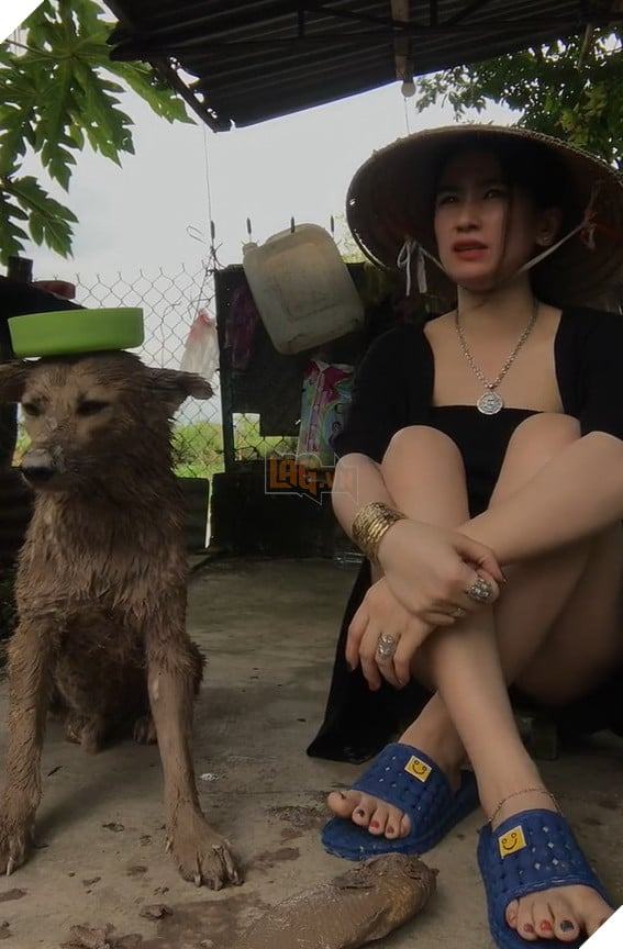 Củ Tỏi - chú chó nổi tiếng trên TikTok bị kẻ trộm bắt đi trong đêm khiến cộng đồng lo lắng