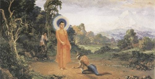 Lời Phật dạy về cái chết: Người chết mang theo được gì?