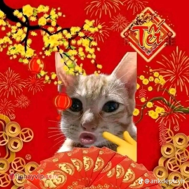Ý nghĩa hình ảnh meme mèo Tết