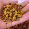 Cách làm trà hoa cúc mật ong giúp giảm stress hiệu quả