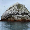 Ở Bắc Đại Tây Dương có một hòn đảo đá núi lửa không có người ở tên là Rockall