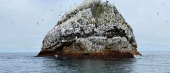 Ở Bắc Đại Tây Dương có một hòn đảo đá núi lửa không có người ở tên là Rockall